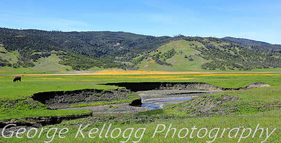 Bear Creek Leesville CA (2)