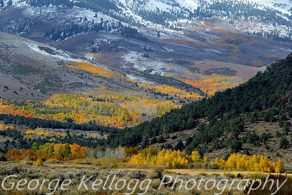 Aspen Sierra Nevada