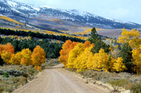 Aspen Sierra Nevada