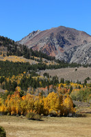 Aspen 2015 (3) 2015-10-12 117