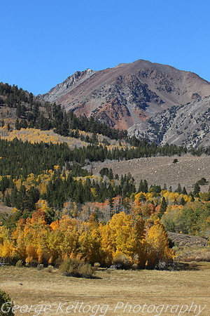 Aspen 2015 (3) 2015-10-12 117