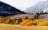 Aspen Sierra Nevada Duncan Mills