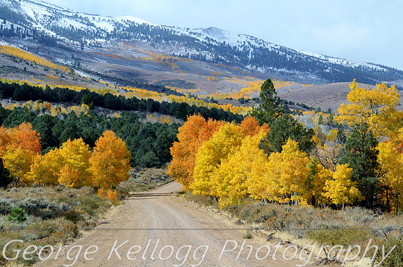 Aspen Sierra Nevada
