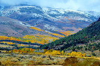 Aspen Sierra Nevada