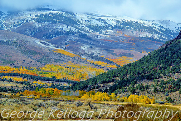 Aspen Sierra Nevada