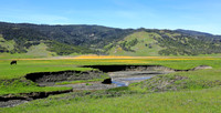 Bear Creek Leesville CA (2)